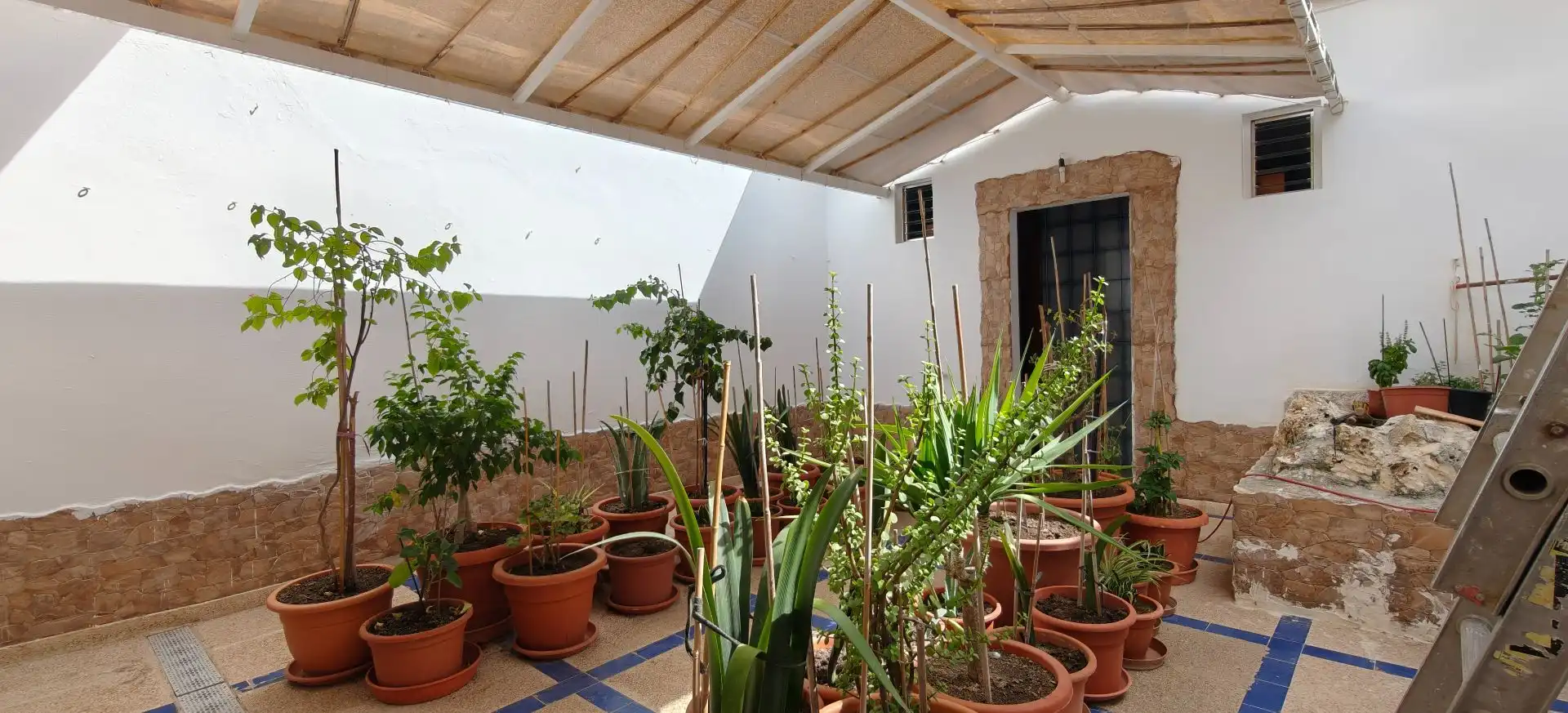 Garden of Commercial properties for sale in Manacor  with Air Conditioner and Furnished