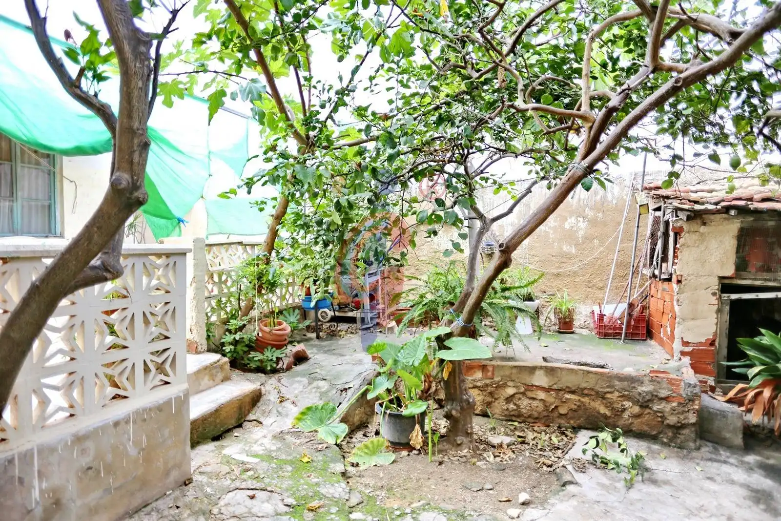 Terraza de Casa o chalet en venta en Guardamar del Segura con Jardín privado