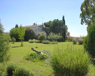 Garden of Land for sale in Santa Olalla