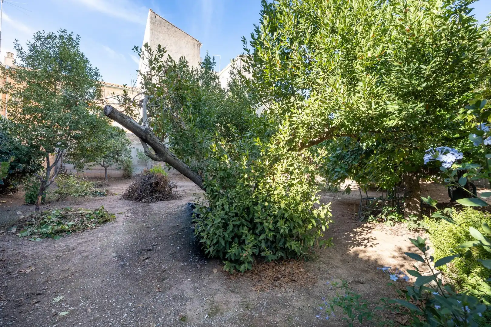 Jardí de Residencial en venda en Peligros