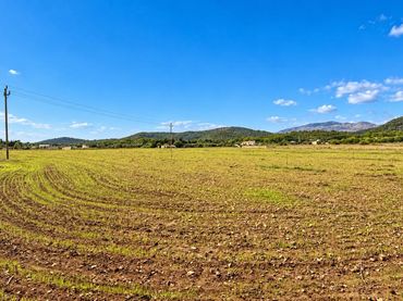 Terrain rustique à vendre à Sa Pobla