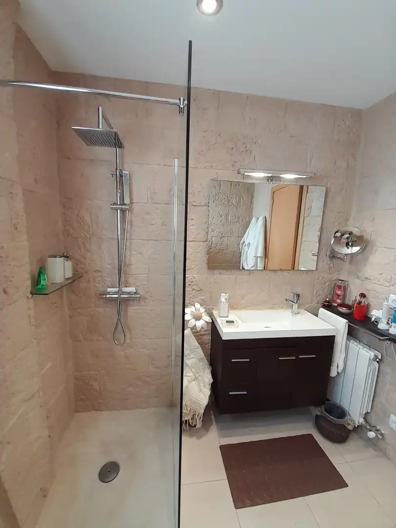Bathroom of Detached homes for sale in Olot  with Heating, Terrace and Furnished