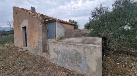 Económica Finca, con antigua caseta de campo de 25 M2 en El Perello, image 2