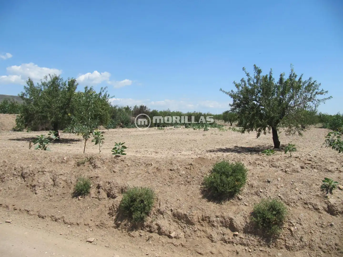 Terreny rústic en venda a Puerto Lumbreras, imagen 12