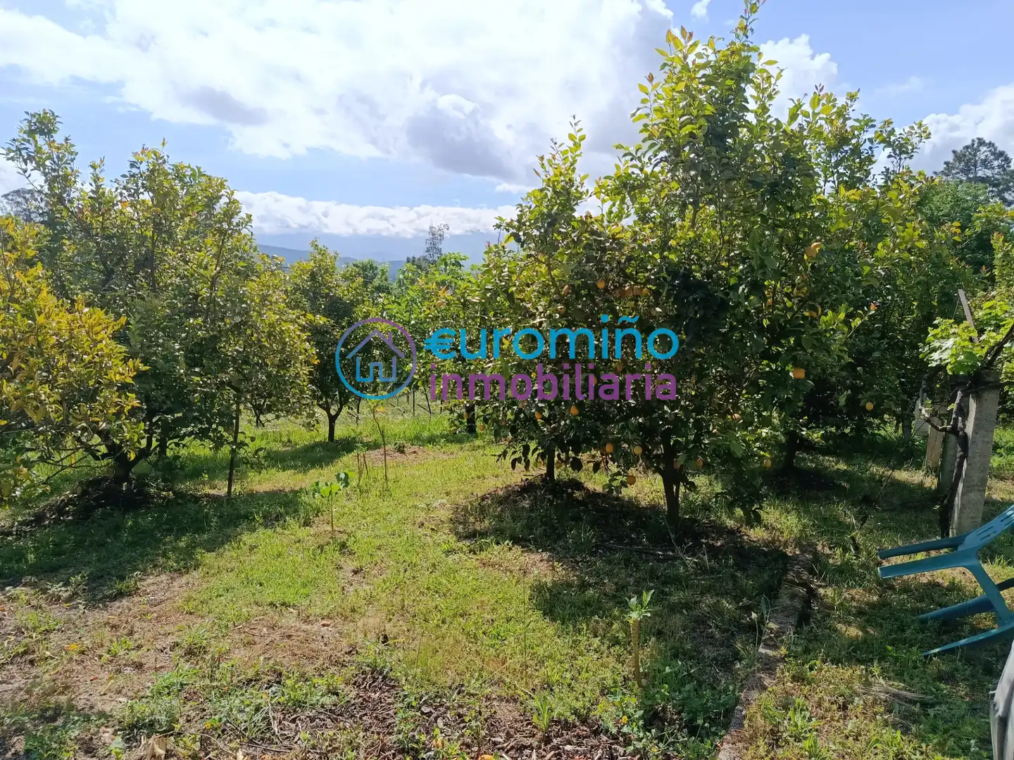 Casa o chalet en venta en Salvaterra de Miño con Jardín privado, Terraza y Trastero