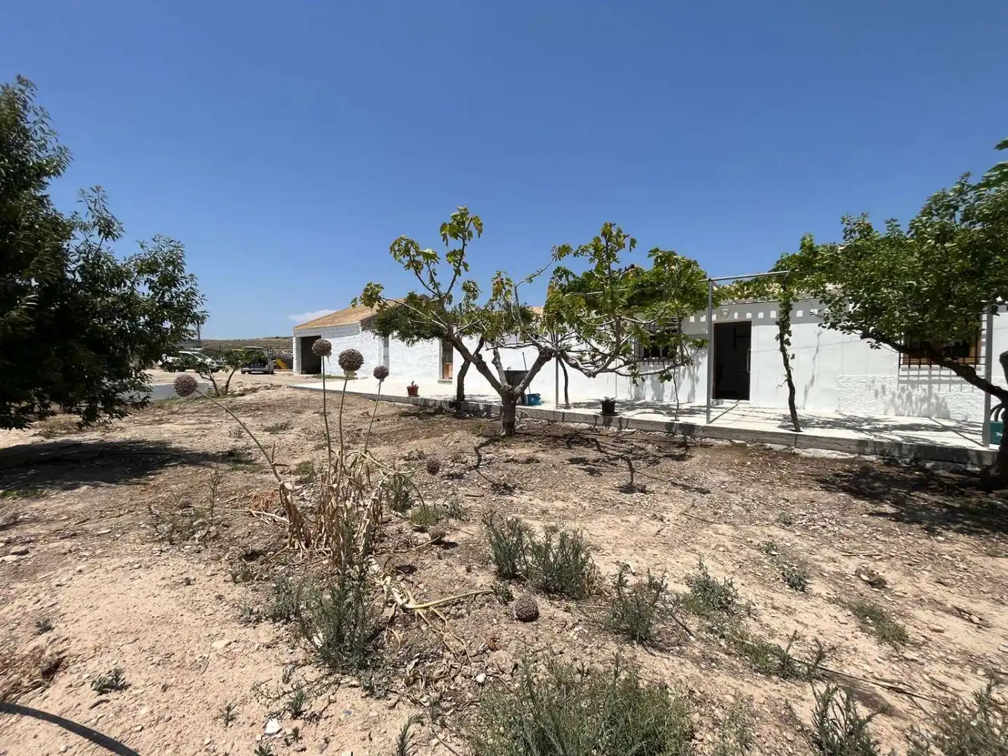 Finca rústica de alquiler en Palomares
