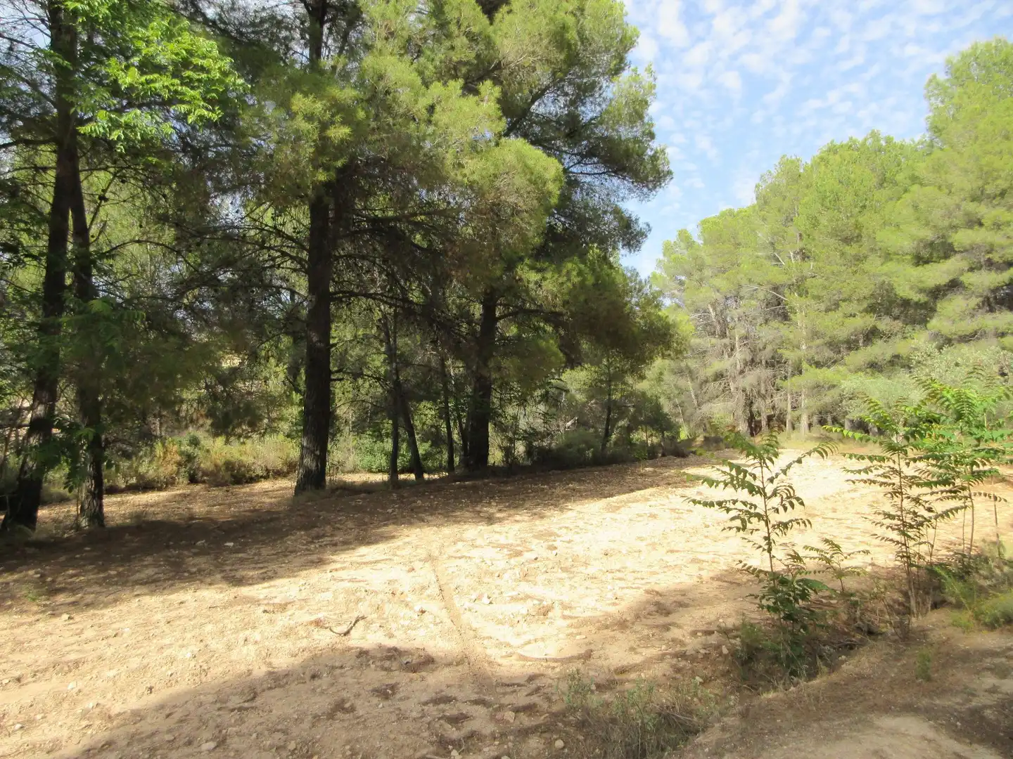 Detached house with garden for sale in Ibi, imagen 38