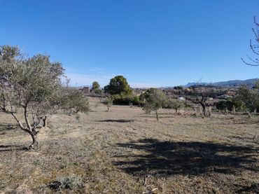Terreno residencial en venta en Centro