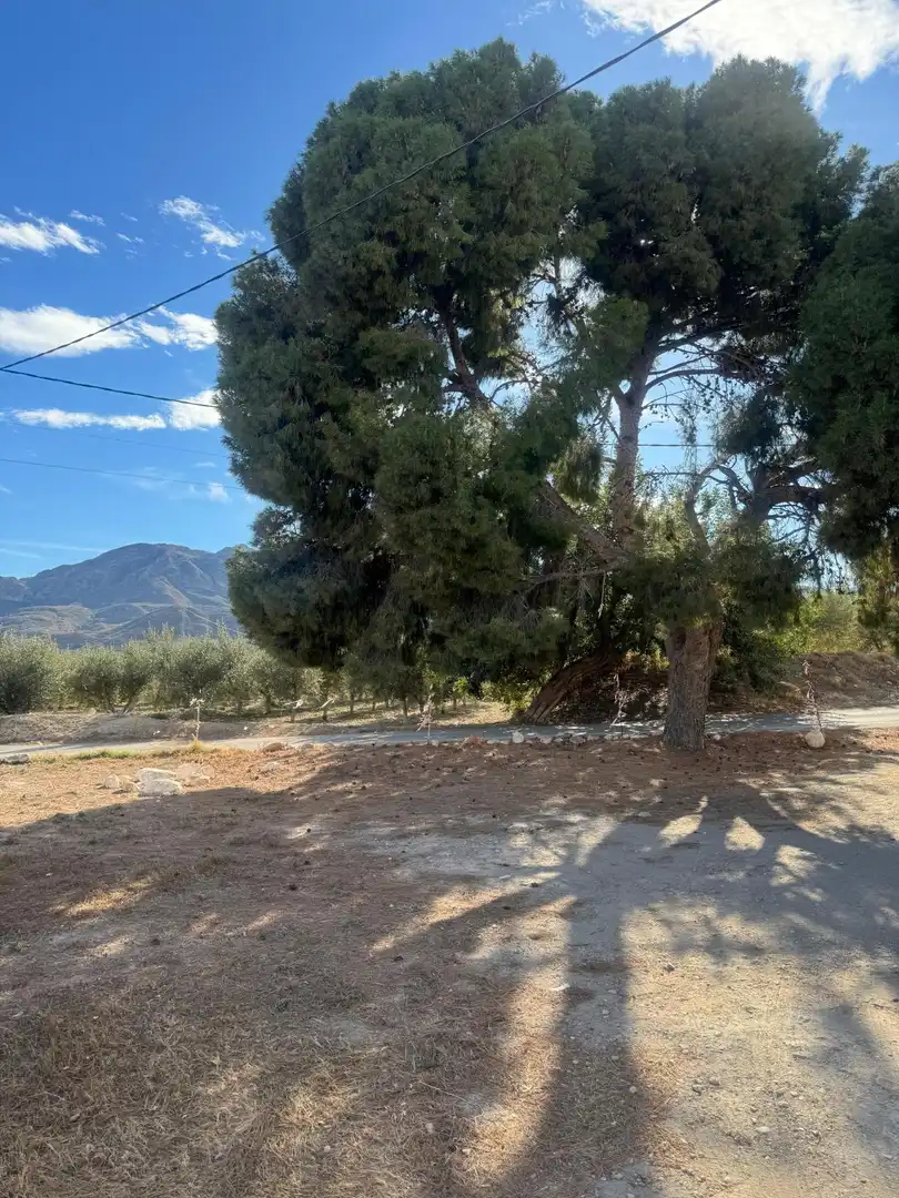 Maison avec jardin à vendre à Mojácar Pueblo, imagen 52