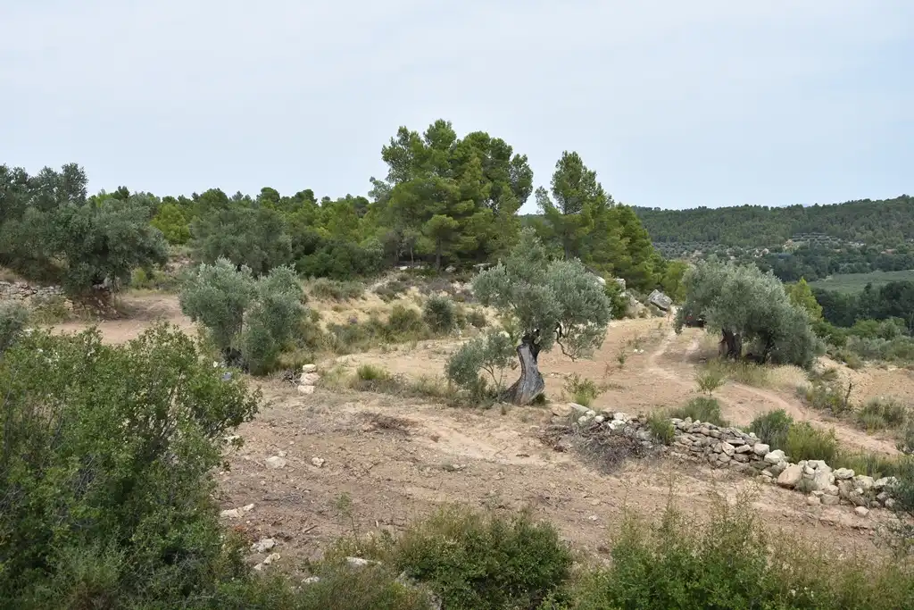 Terreni e lotti in vendita a La Fresneda, imagen 4