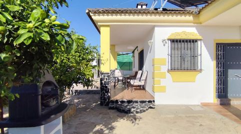 Foto 5 de Finca rústica en venda a Arcos de la Frontera, Cádiz
