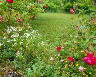 Jardí de Finca rústica en venda en Villarcayo de Merindad de Castilla la Vieja amb Jardí privat