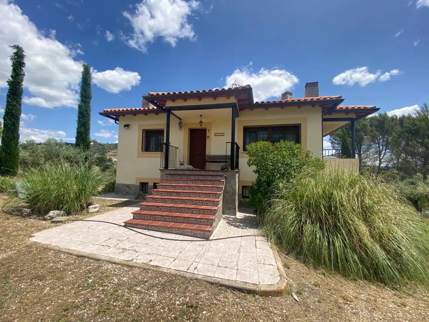 Vista exterior de Casa o chalet en venta en Auñón con Jardín privado, Terraza y Piscina