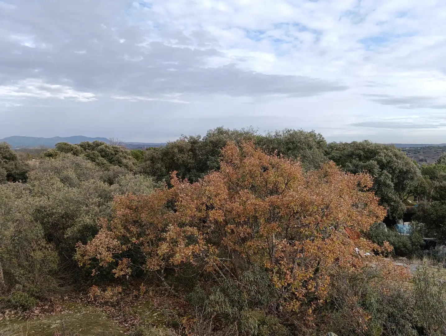 Casa o xalet en venda en Valdemorillo