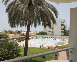 Swimming pool of Apartment to rent in San Bartolomé de Tirajana  with Terrace, Balcony and Community pool