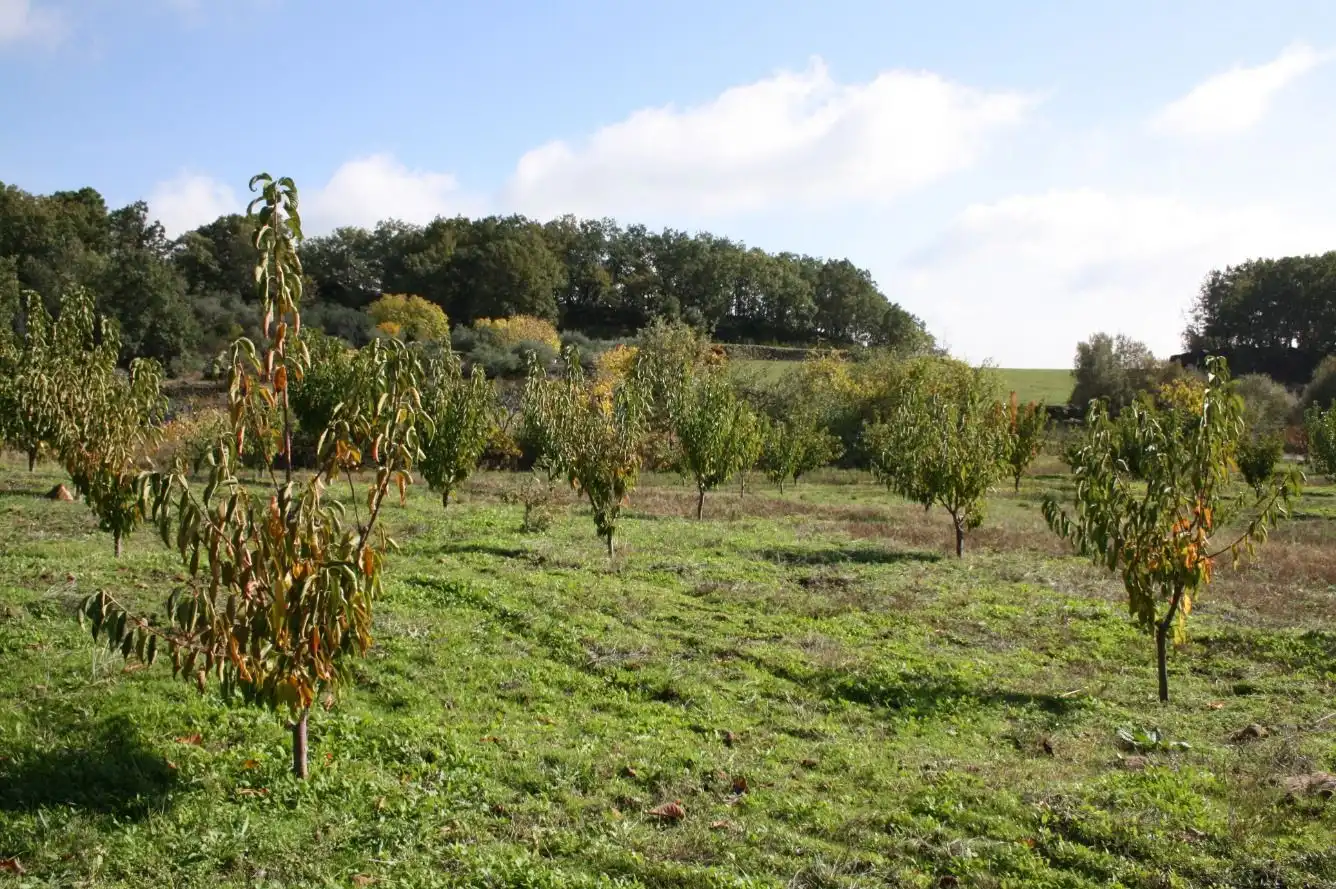 Finca rústica en venta en Torremenga con Jardín privado, Terraza y Amueblado