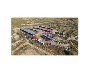 House or chalet for sale in Calle Del Cura, -1, La Paca