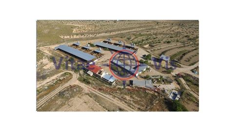 FINCA 70 HECTAREAS CON EXPLOTACION GANADERA Y AGRICOLA CON CORTIJO EN LA PACA