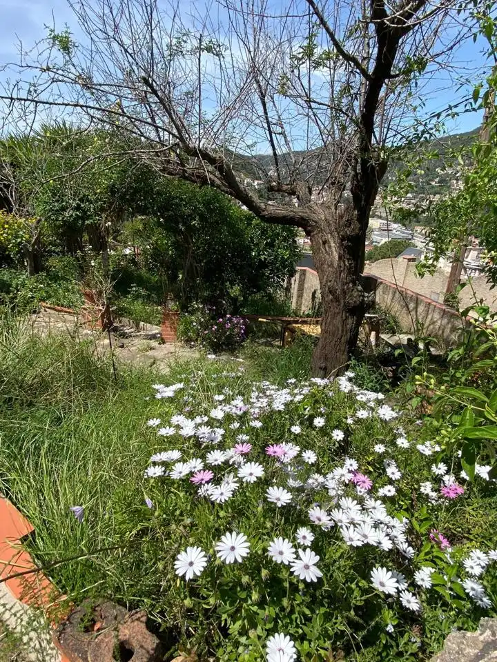 Terrenos y solares en venta en Carrer Vicenç Bou 14, imagen 9