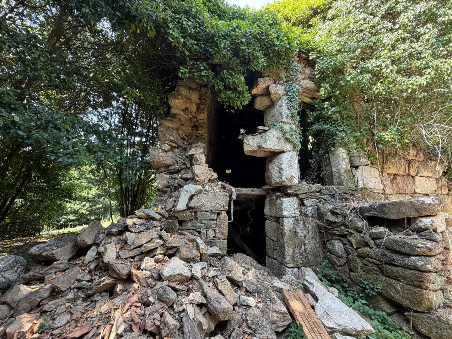 Vista exterior de Finca rústica en venda en Gomesende amb Jardí privat, Terrassa i Traster