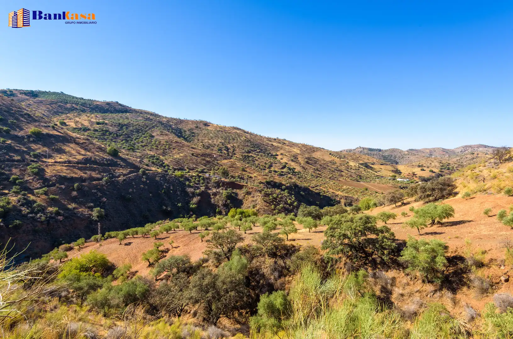 Vista exterior de Finca rústica en venta en Álora con Jardín privado y Trastero