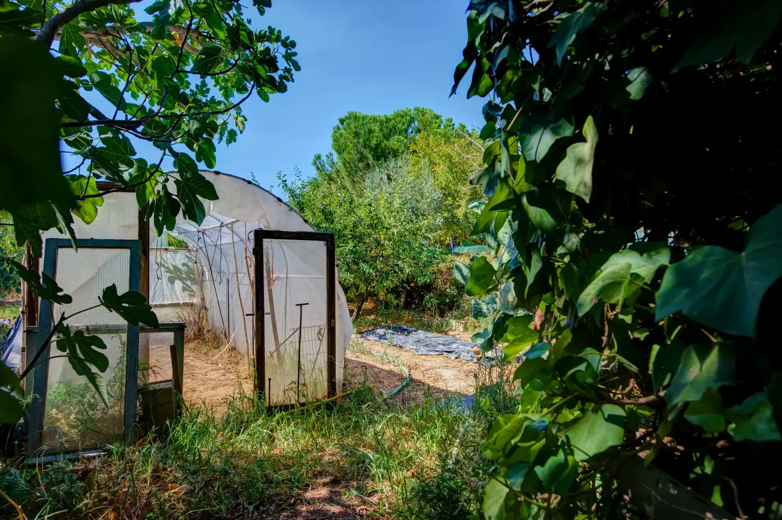 Casa con piscina en venta en Paraje LA GLERA, imagen 77