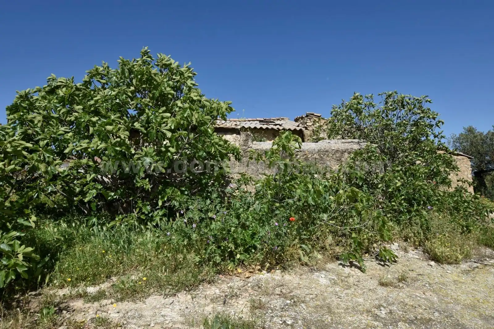 Finca rústica en venda en Ronda