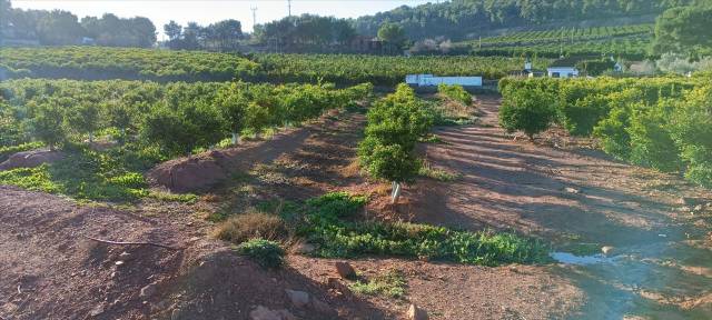 Terreno residencial en Venta en Quebranta en Torres Torres