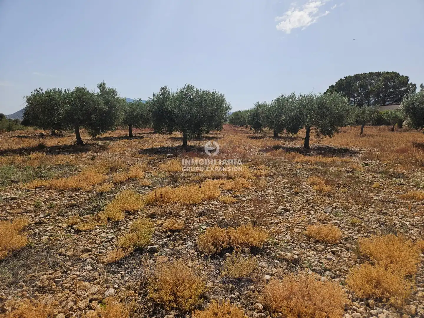 Casa o chalet en venta en Aspe
