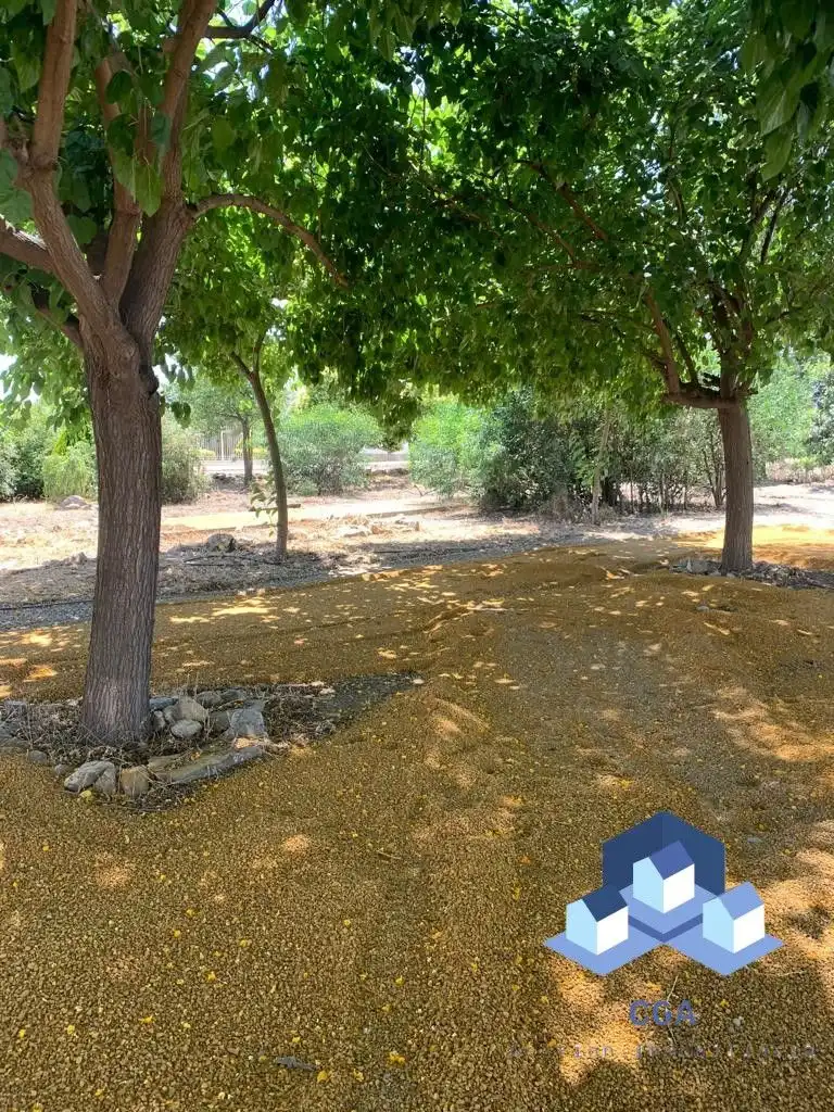 Villa avec piscine à vendre à Paraje Ermita, imagen 29
