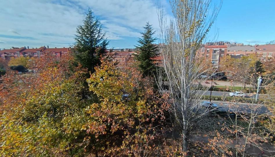 Photo 1 of Flat to rent in Paseo de Zorrilla, La Rubia, Valladolid