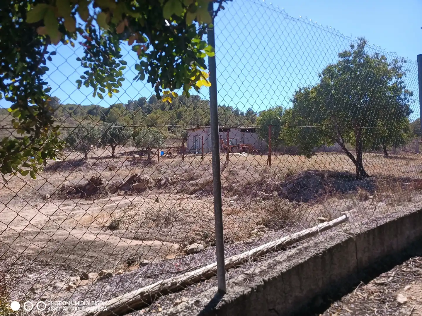 Trastero de alquiler en Vilamarxant