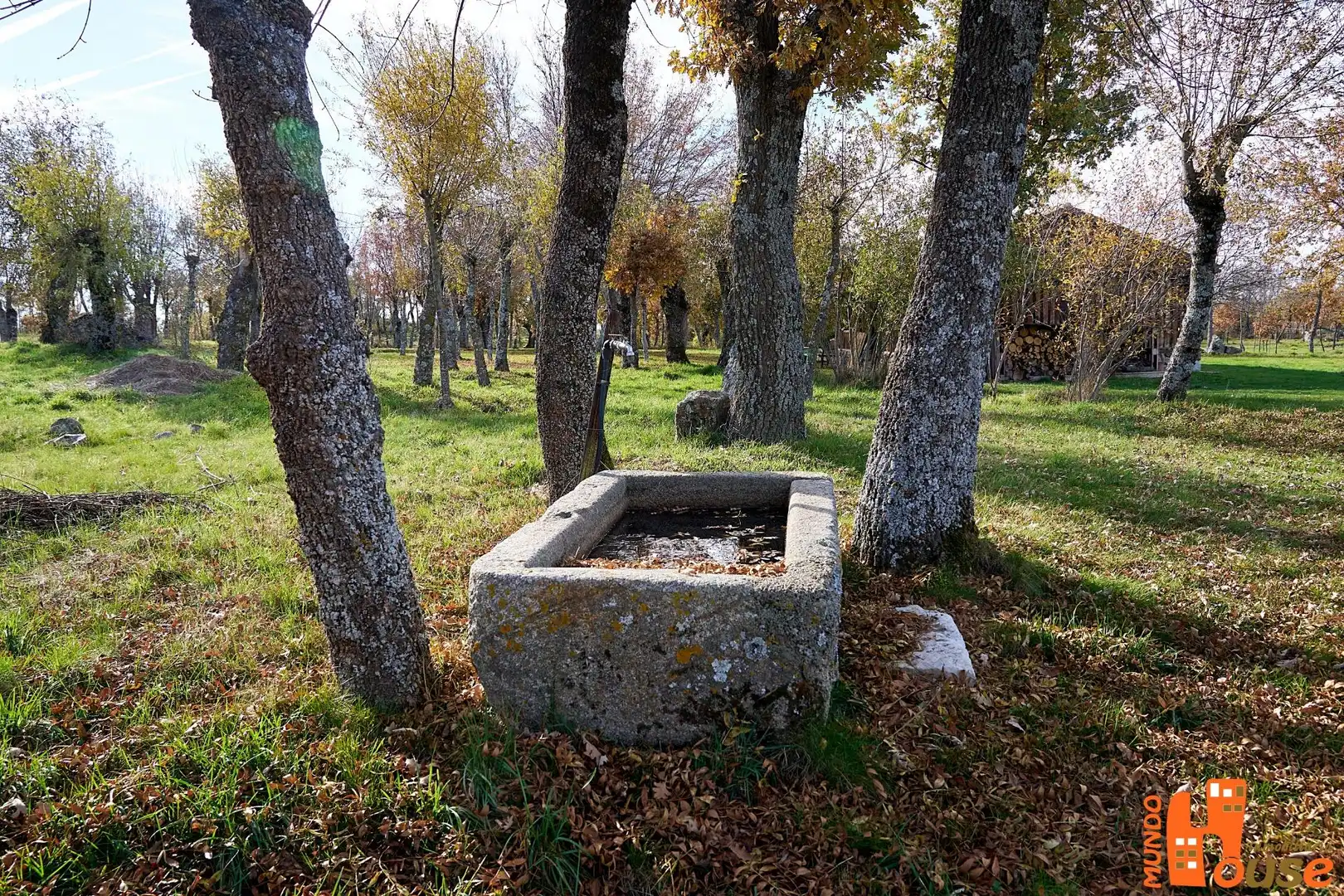 Terreni e lotti in vendita a Carretera de Turégano, imagen 36