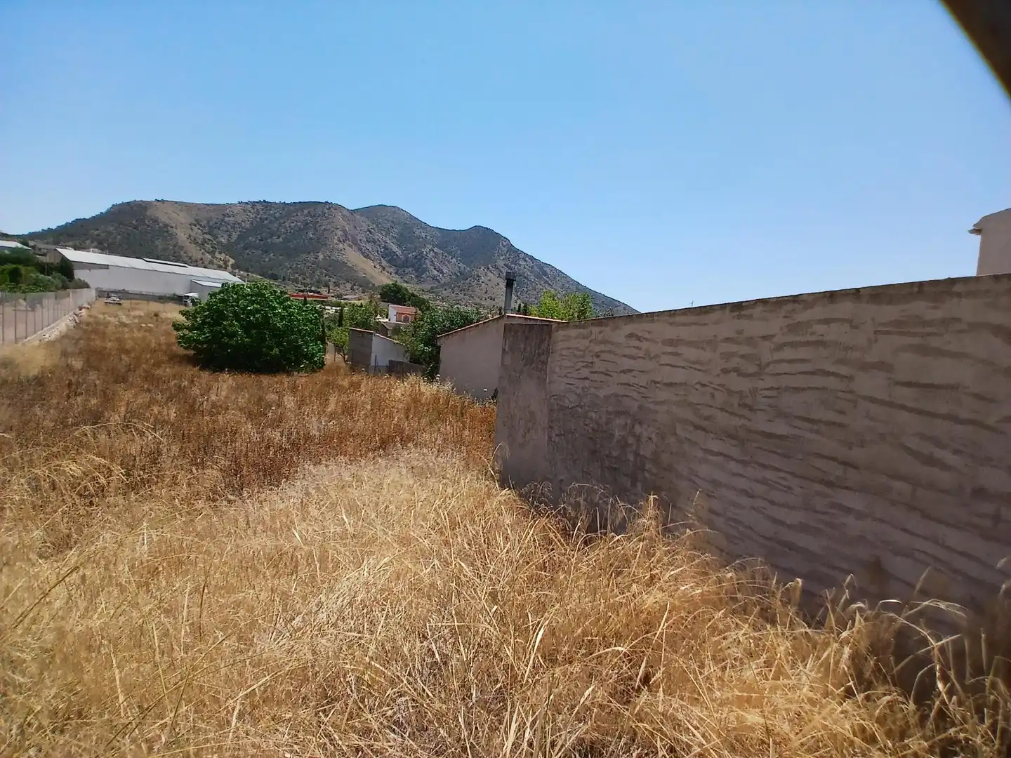 Terreny residencial en venda a Algueña, imagen 4