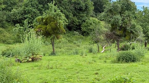 Foto 3 von Residential zum Verkauf in Barrio de Los Valles, 1012, Reocín, Cantabria