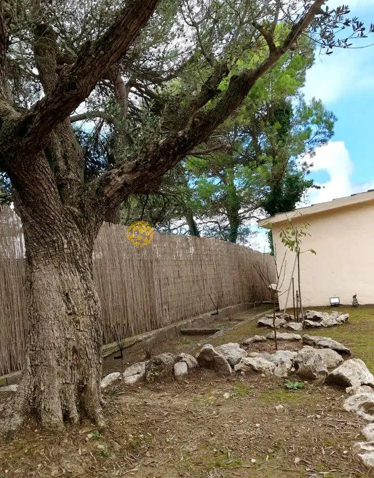 Garden of Houses for sale in El Bruc, Barcelona