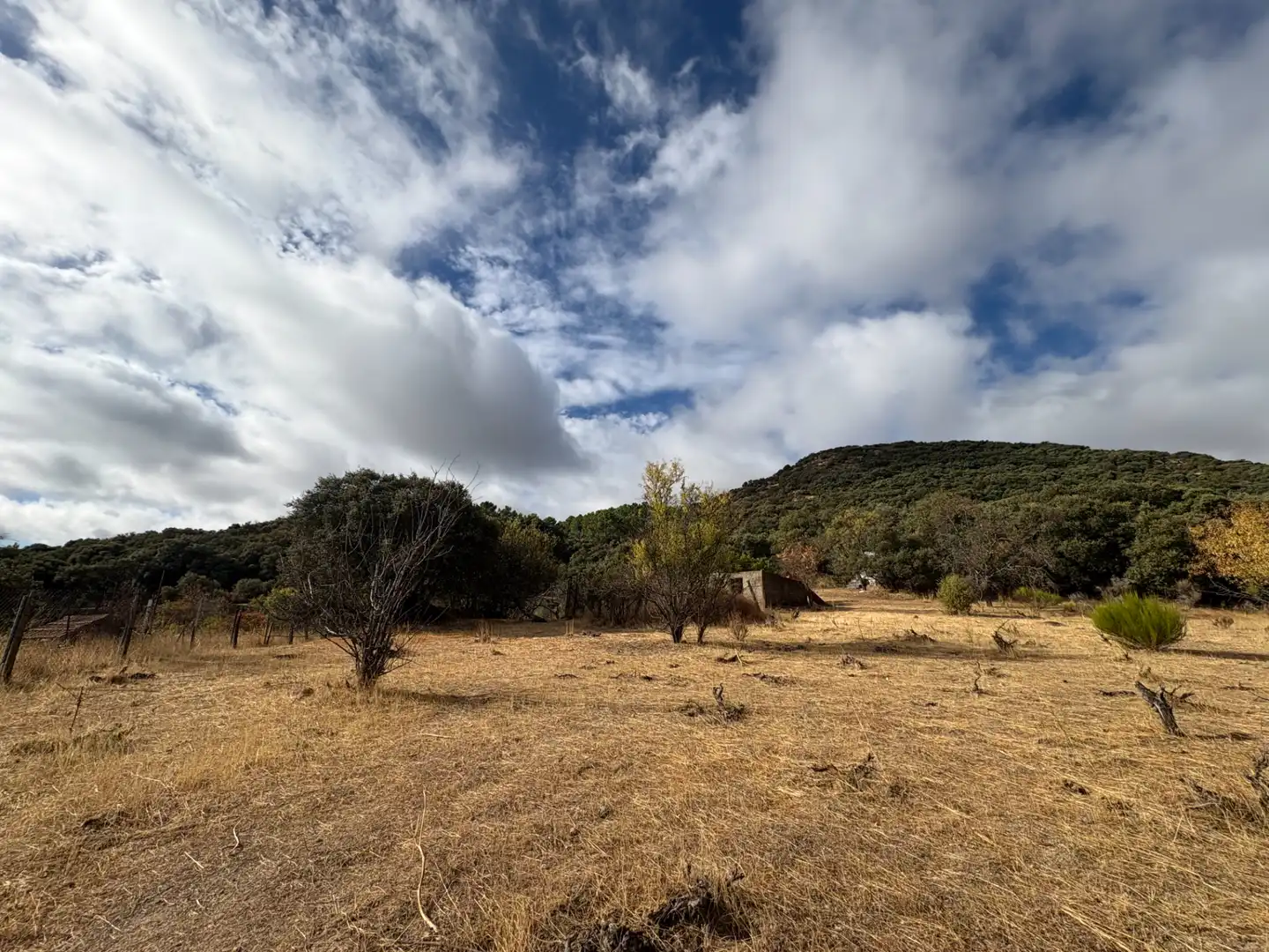 Country homes for sale in Cenicientos