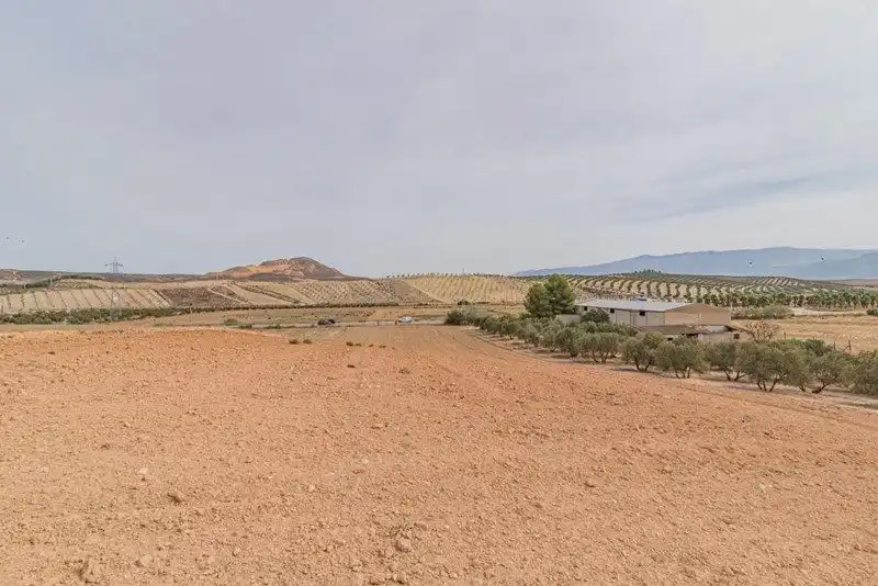 Rustikales Grundstück zum Verkauf in La Malahá, imagen 4