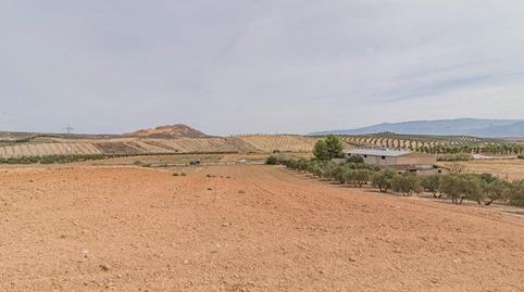 Photo 4 of Land for sale in La Malahá, Granada