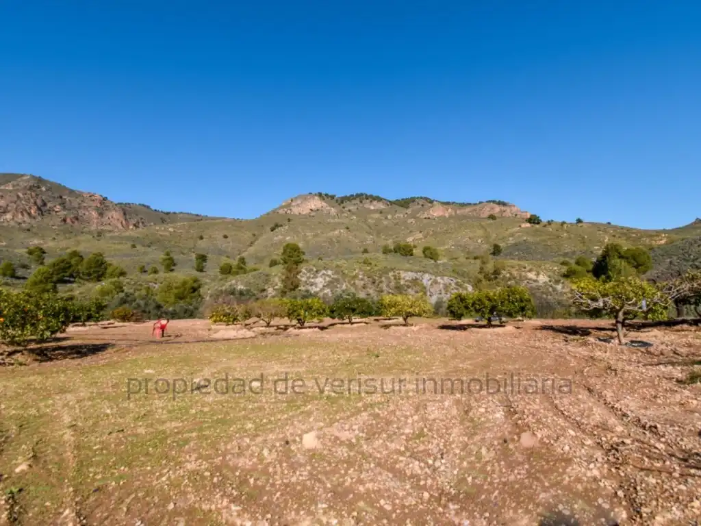 Maison à vendre à Tébar - Los Arejos, imagen 32