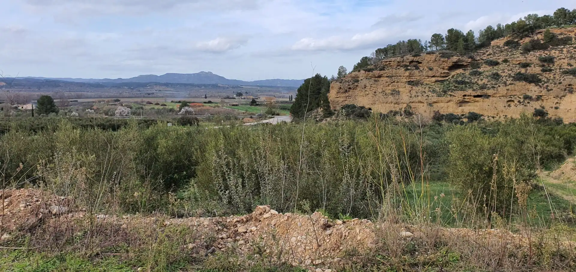 Rural land for sale in Ginestar, imagen 5