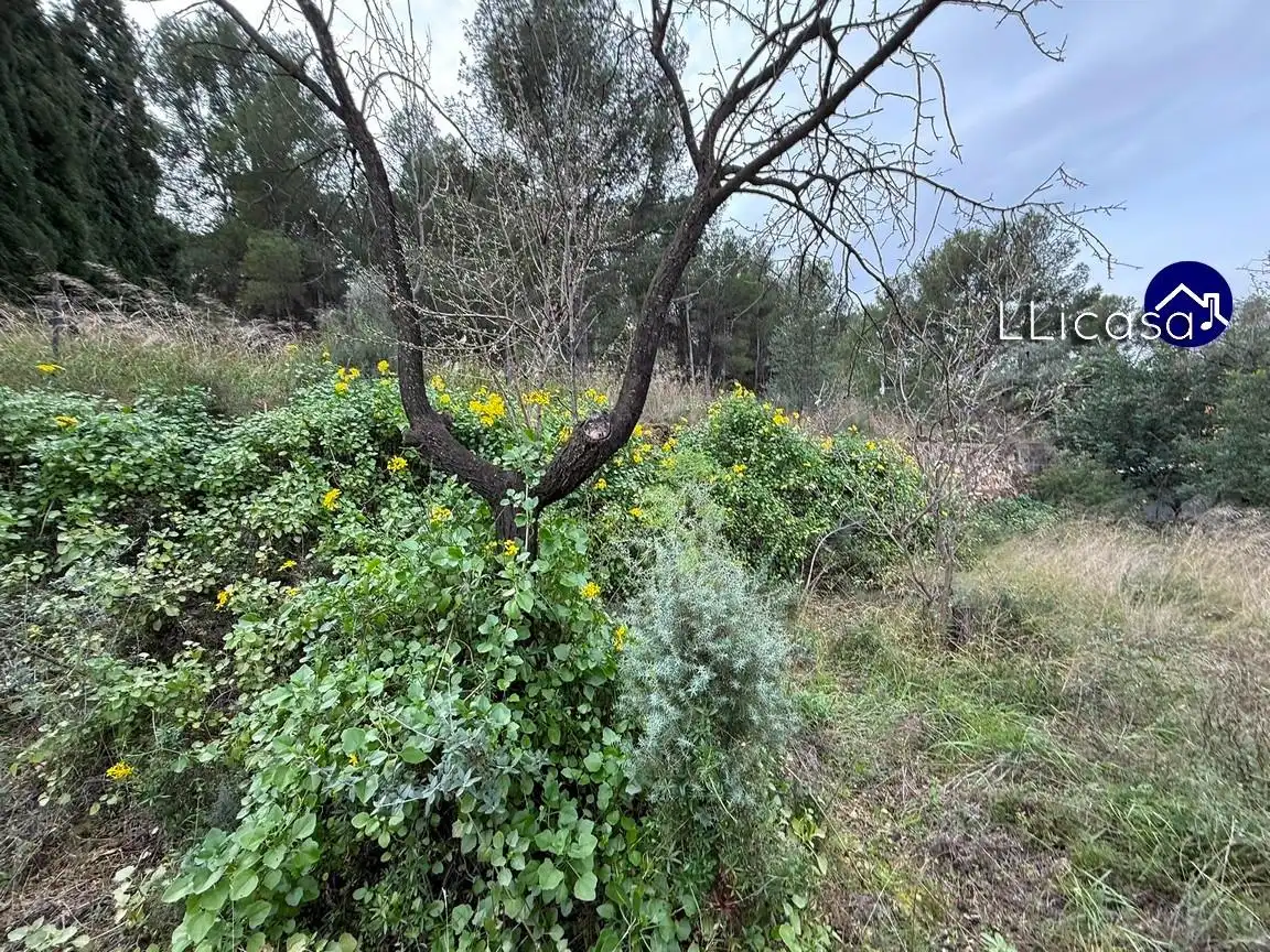 Casa o chalet en venta en Llíria con Jardín privado, Terraza y Trastero