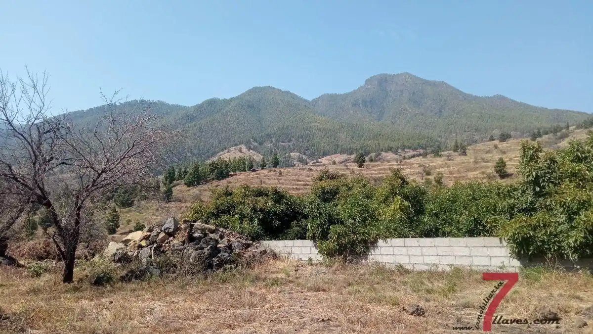 Finca rústica en venta en Santa Cruz de la Palma