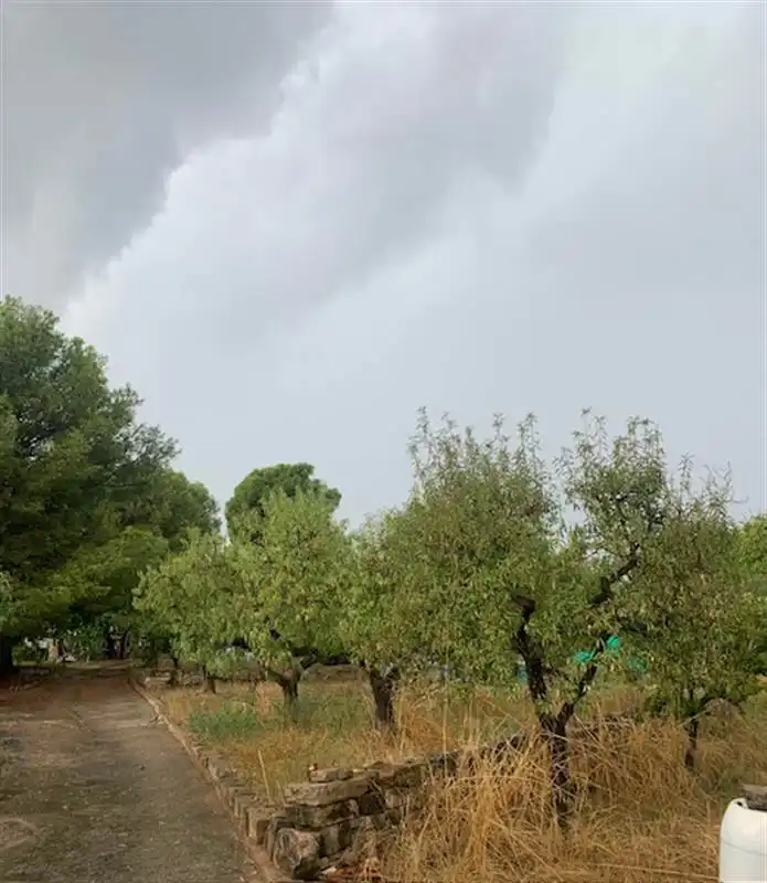 Jardí de Casa o xalet en venda en Òdena
