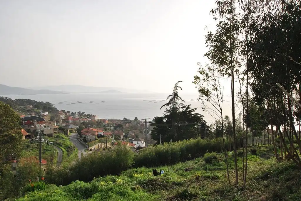 Residential land for sale in N/A, imagen 28