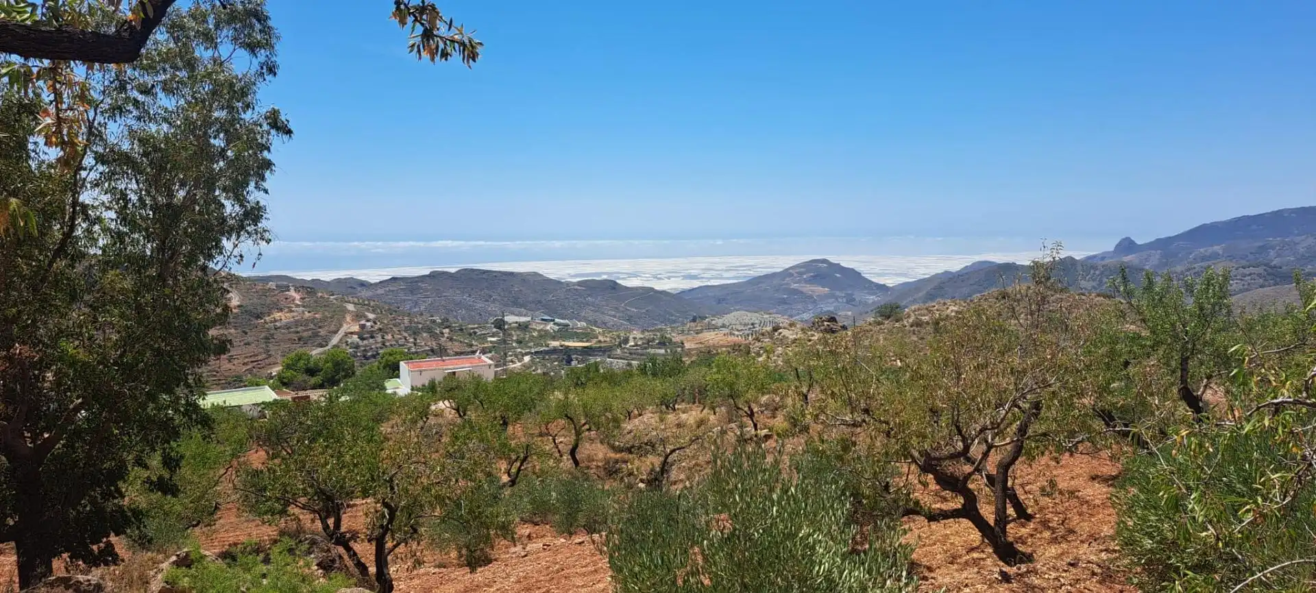 Country house for sale in Felix, imagen 39
