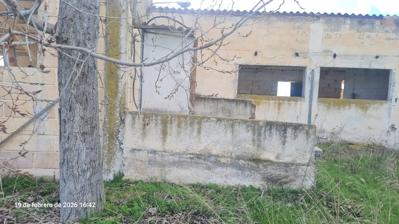 Land for sale in Tauste