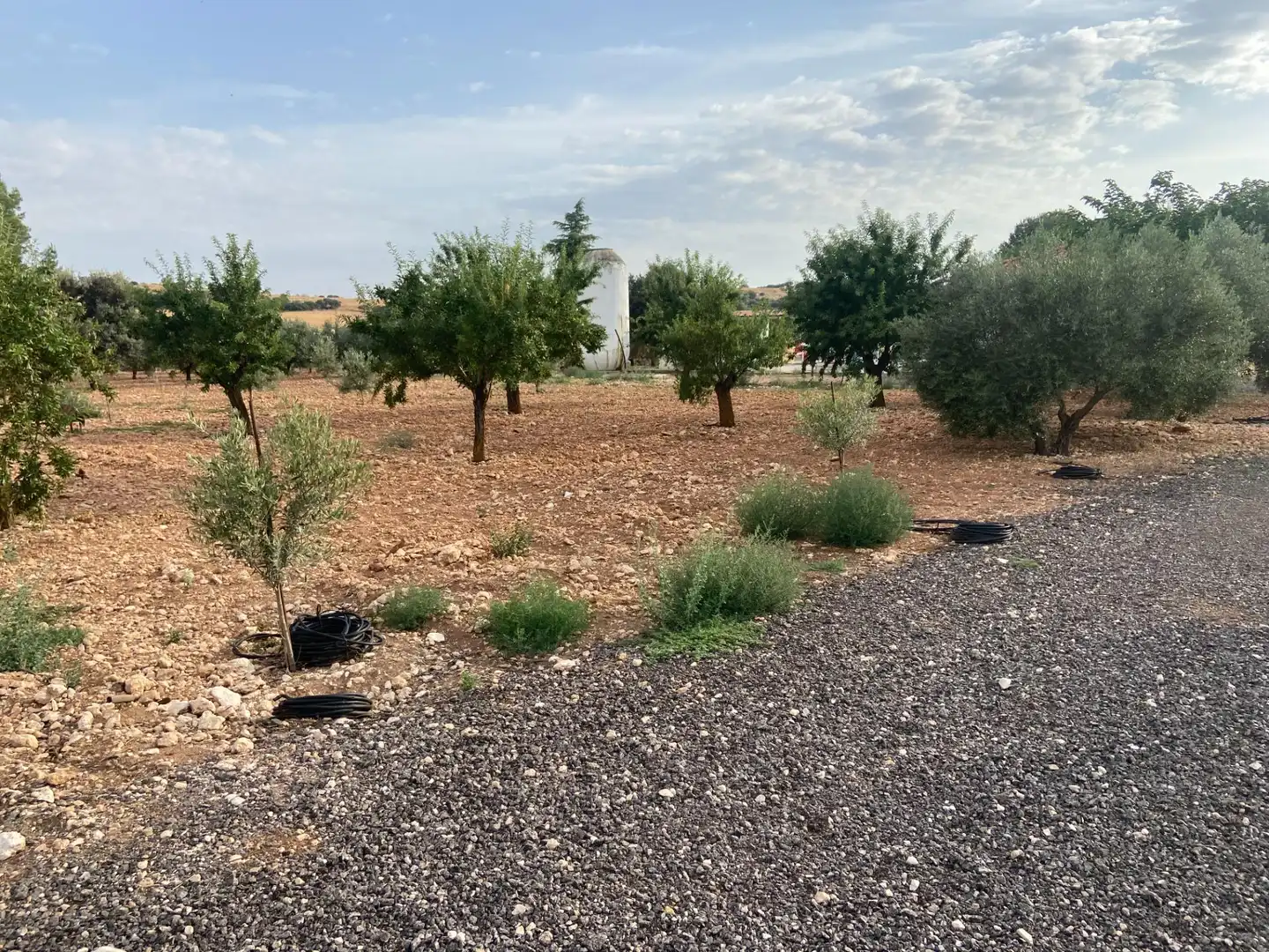 Casa o chalet en venta en Ciudad Real con Aire acondicionado, Calefacción y Jardín privado