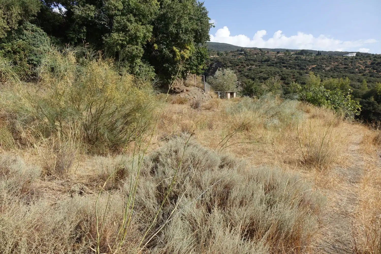 Finca rústica en venta en La Taha