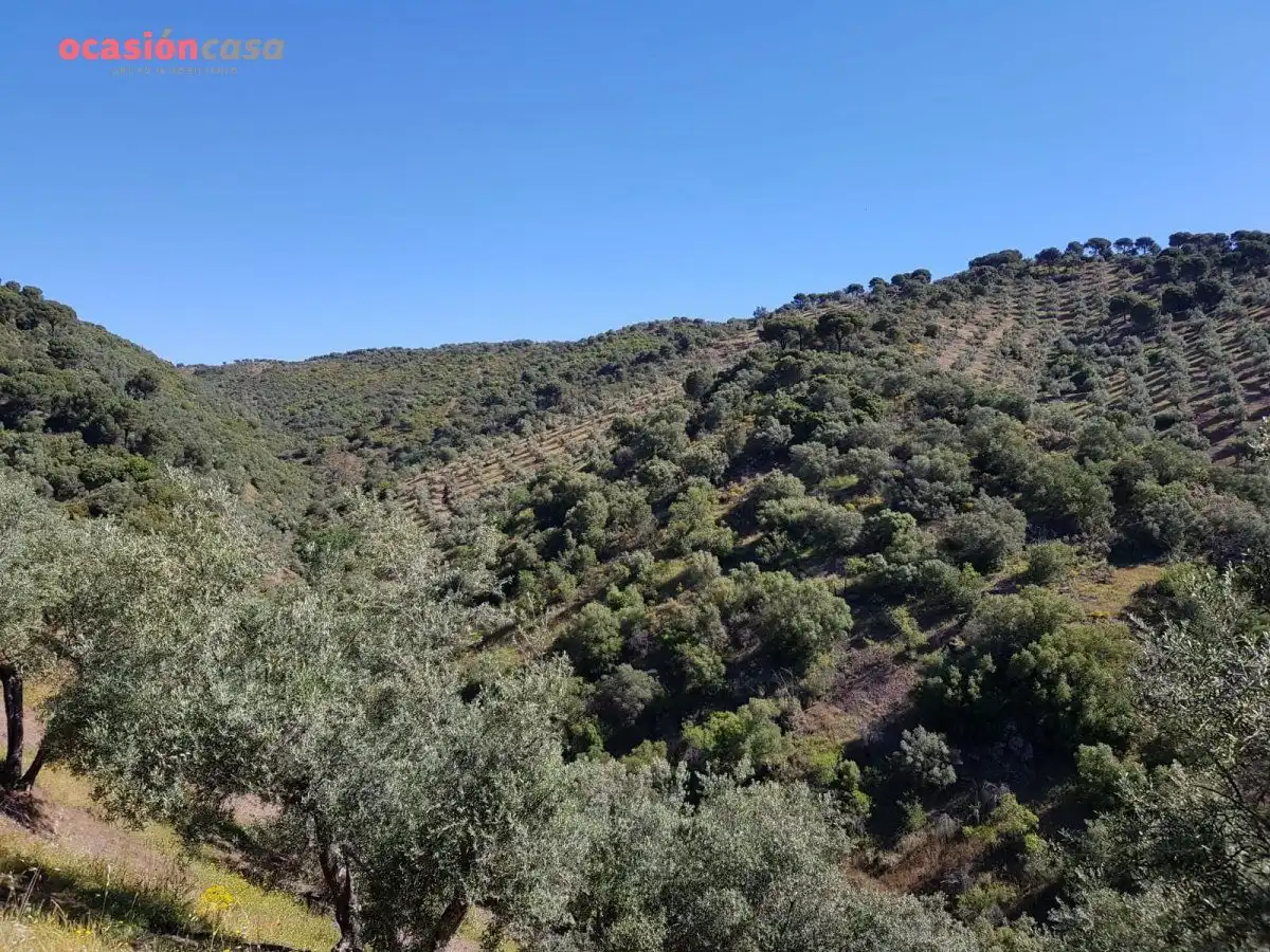 Finca rústica en venta en Villanueva de Córdoba con Jardín privado, Trastero y Amueblado